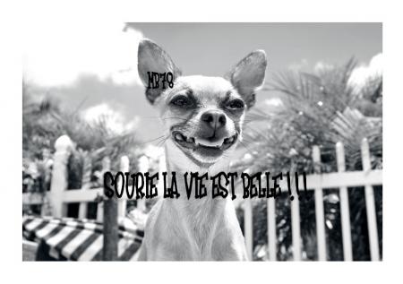                                           IMAGE INSOLITE
